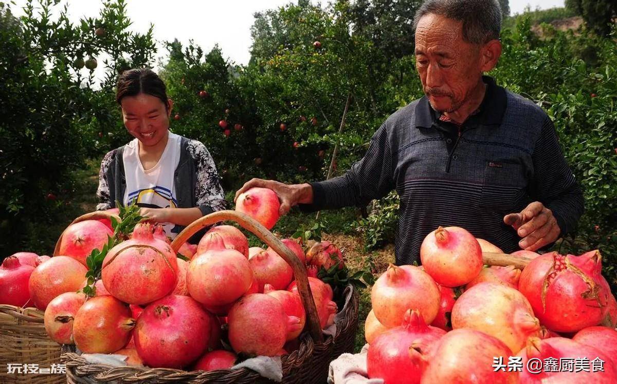 石榴产地哪里的最好(全国这5个产地石榴好吃且汁多味甜)-图片9